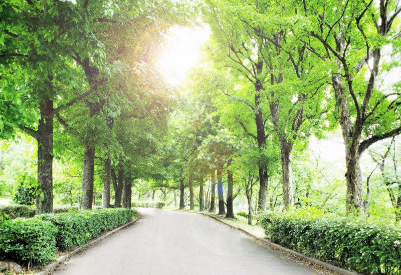 ポートレート野外撮影会