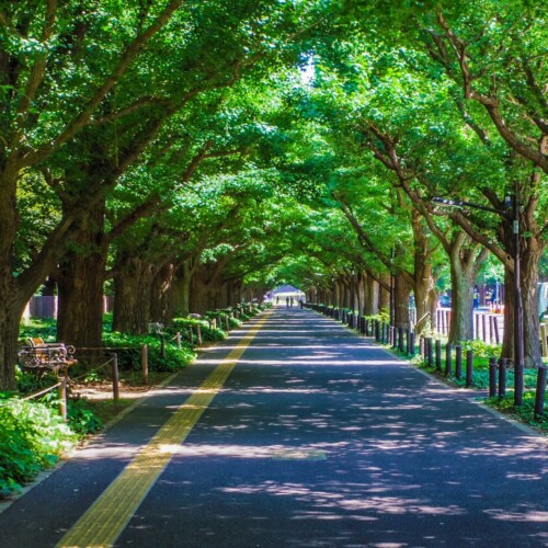 信濃町