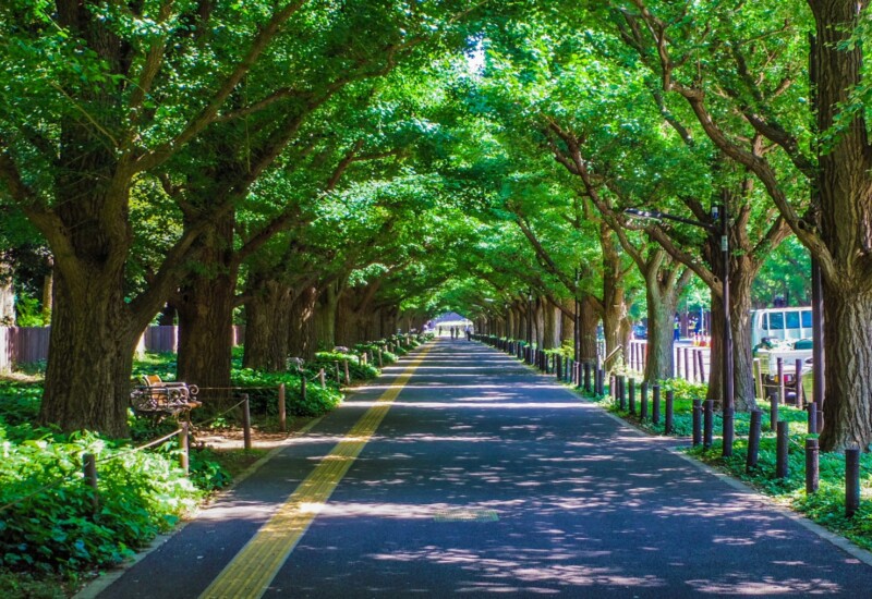 信濃町